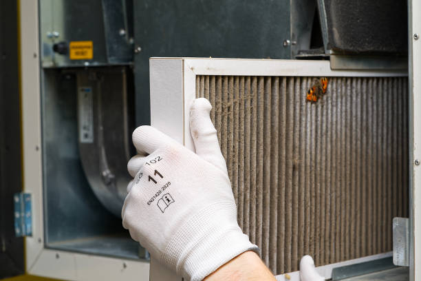 Best Residential Air Duct Cleaning  in Wheaton, MD
