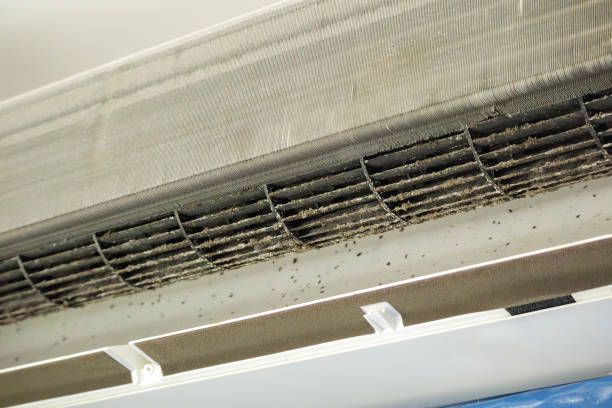 Best HVAC System Cleaning  in Wheaton, MD